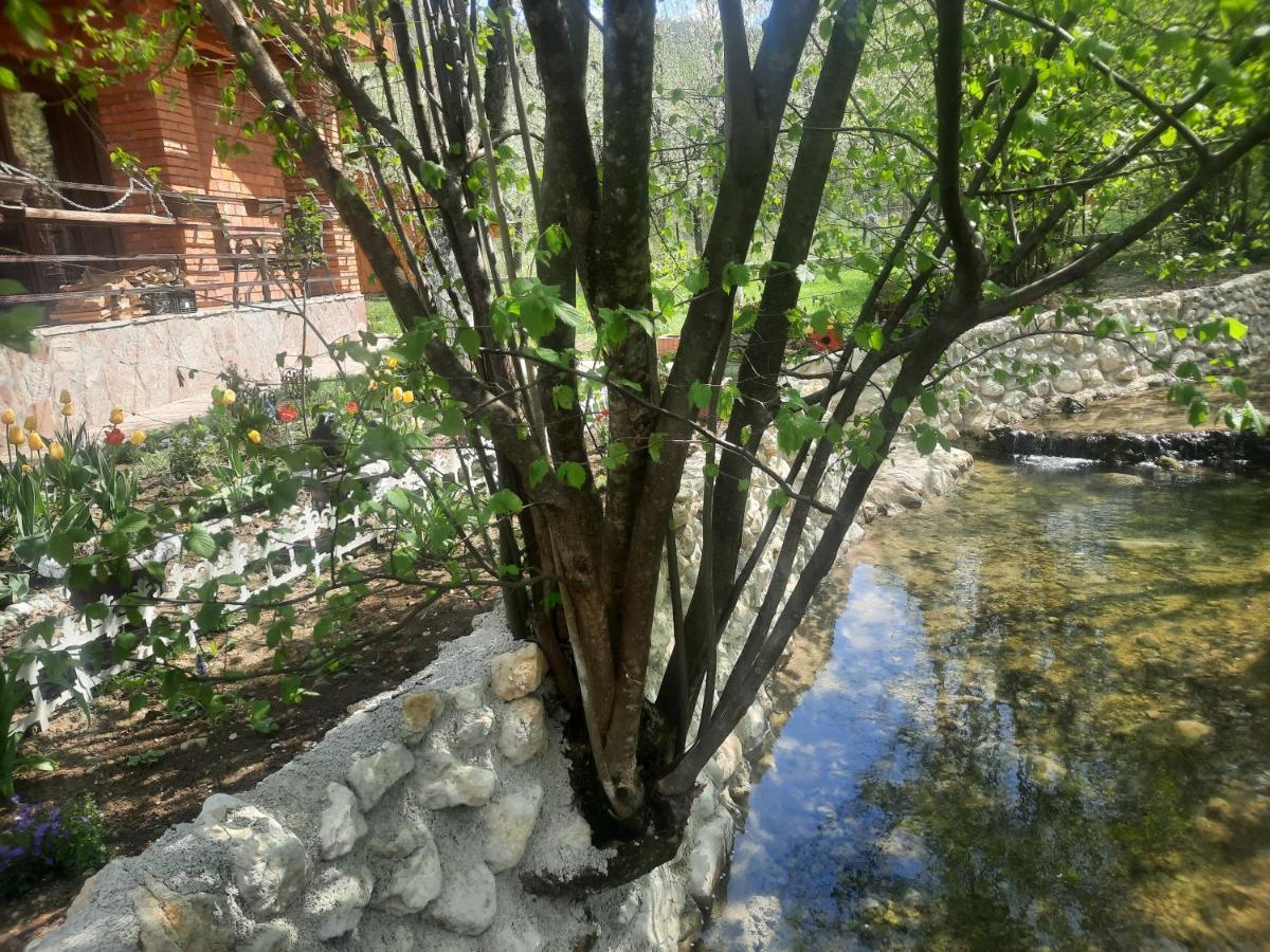 Live Nature Bihać Eksteriør bilde