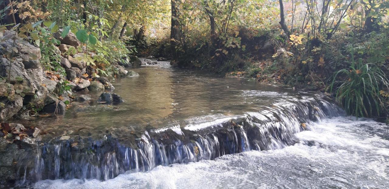 Live Nature Bihać Eksteriør bilde